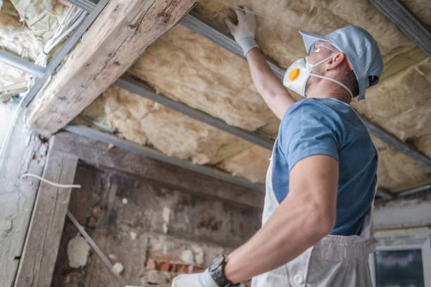Best Energy Efficiency Solutions in Wills Point, TX
